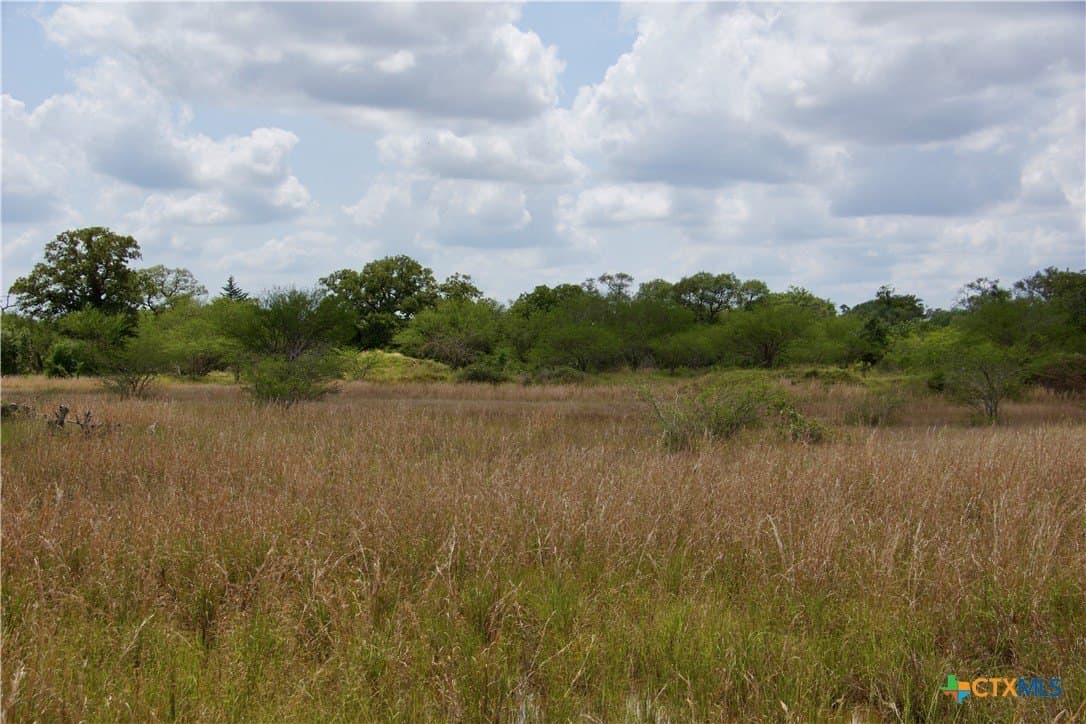 53.6 acres in DeWitt County - photo 22