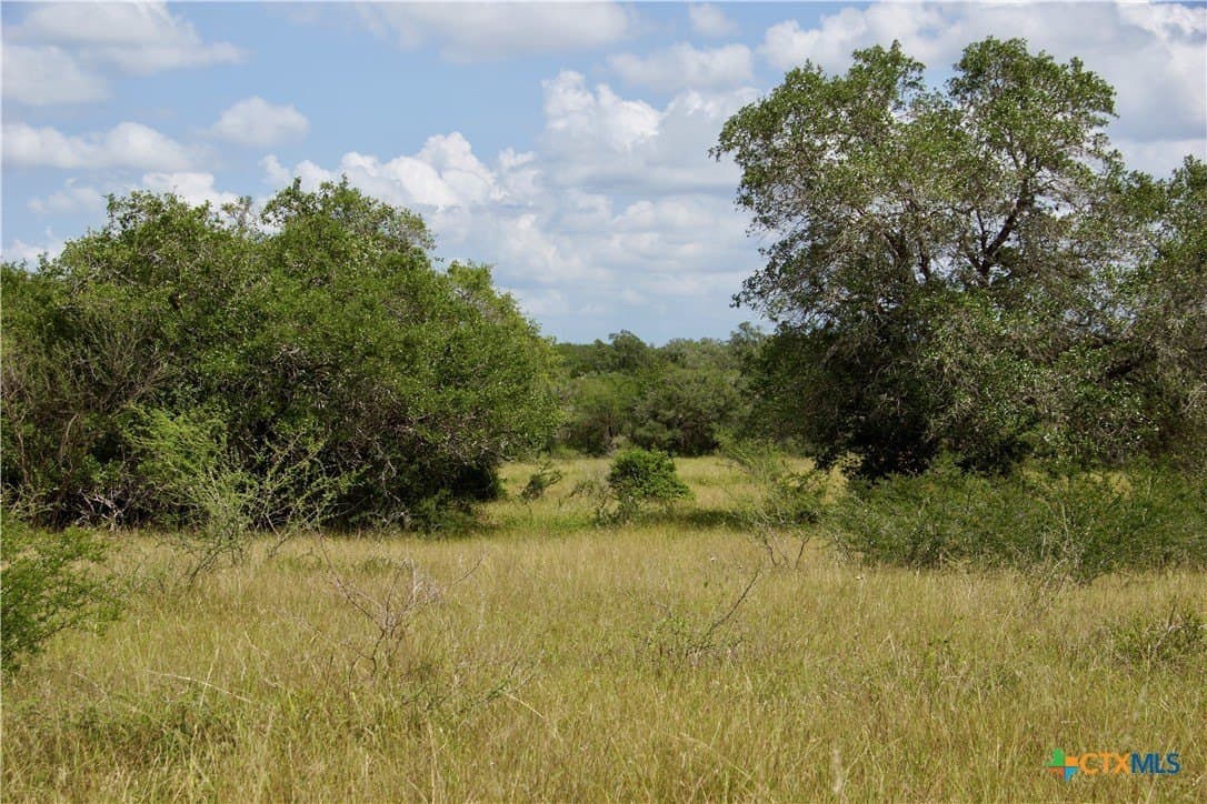 53.6 acres in DeWitt County - photo 26