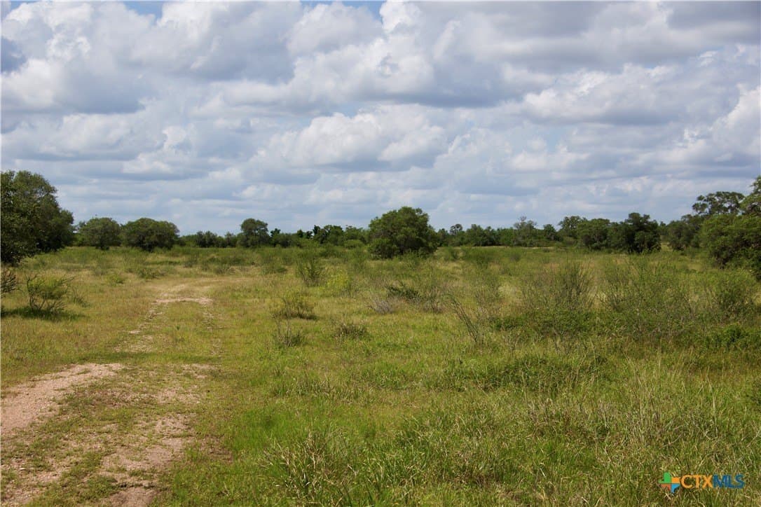 53.6 acres in DeWitt County - photo 29