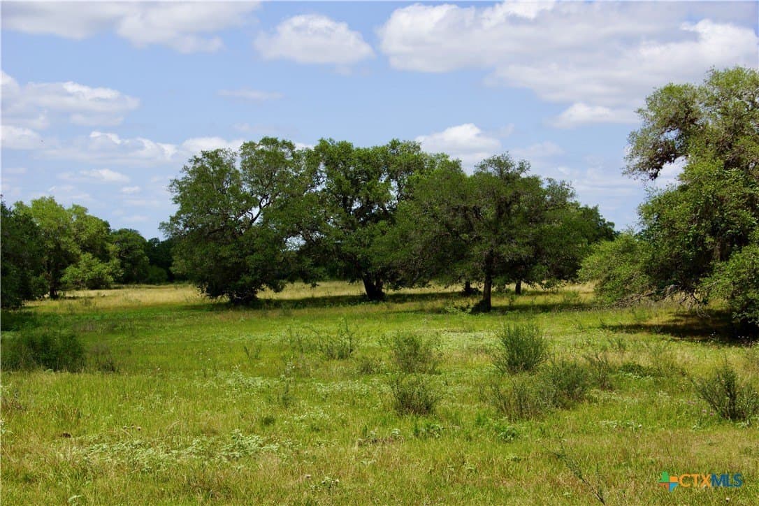 53.6 acres in DeWitt County - photo 9