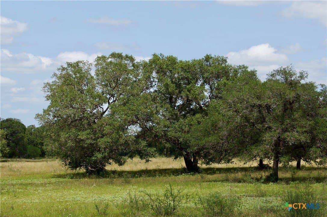53.6 acres in DeWitt County - photo 8