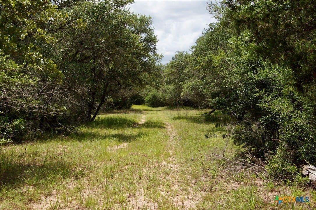 53.6 acres in DeWitt County - photo 20
