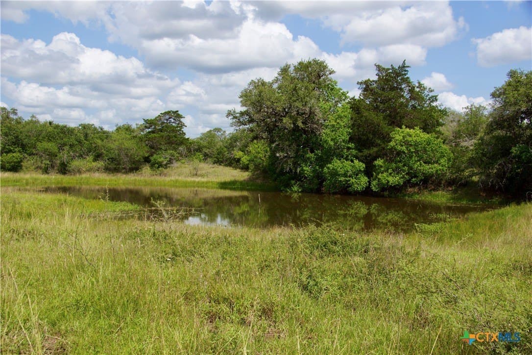 53.6 acres in DeWitt County - photo 28