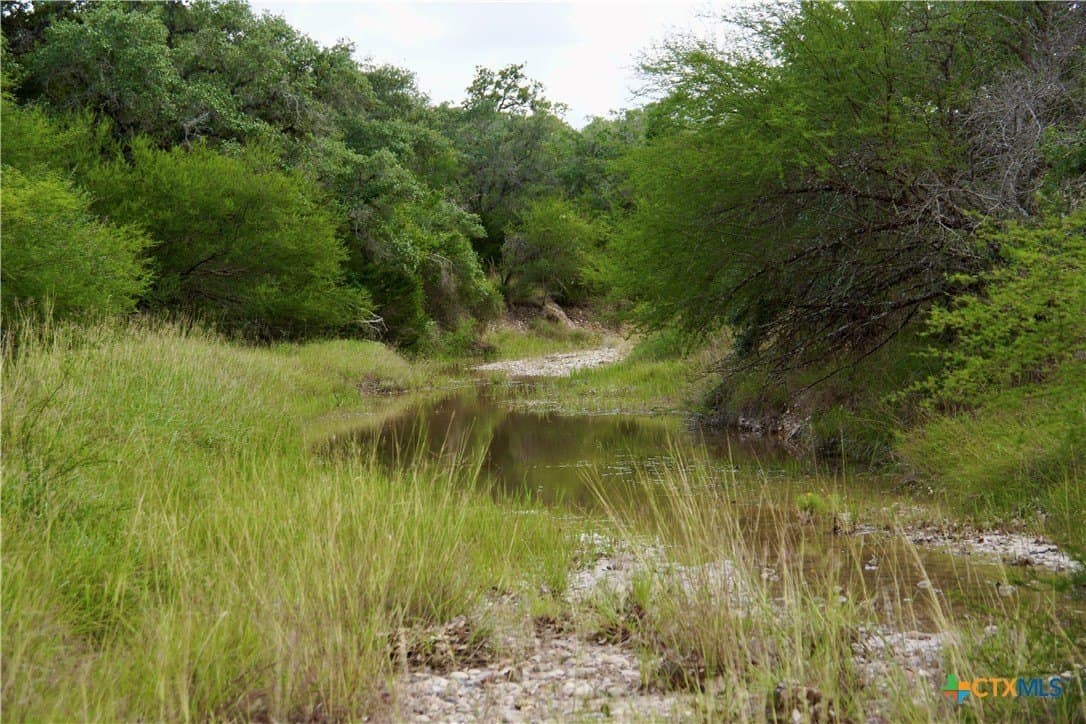 53.6 acres in DeWitt County - photo 39