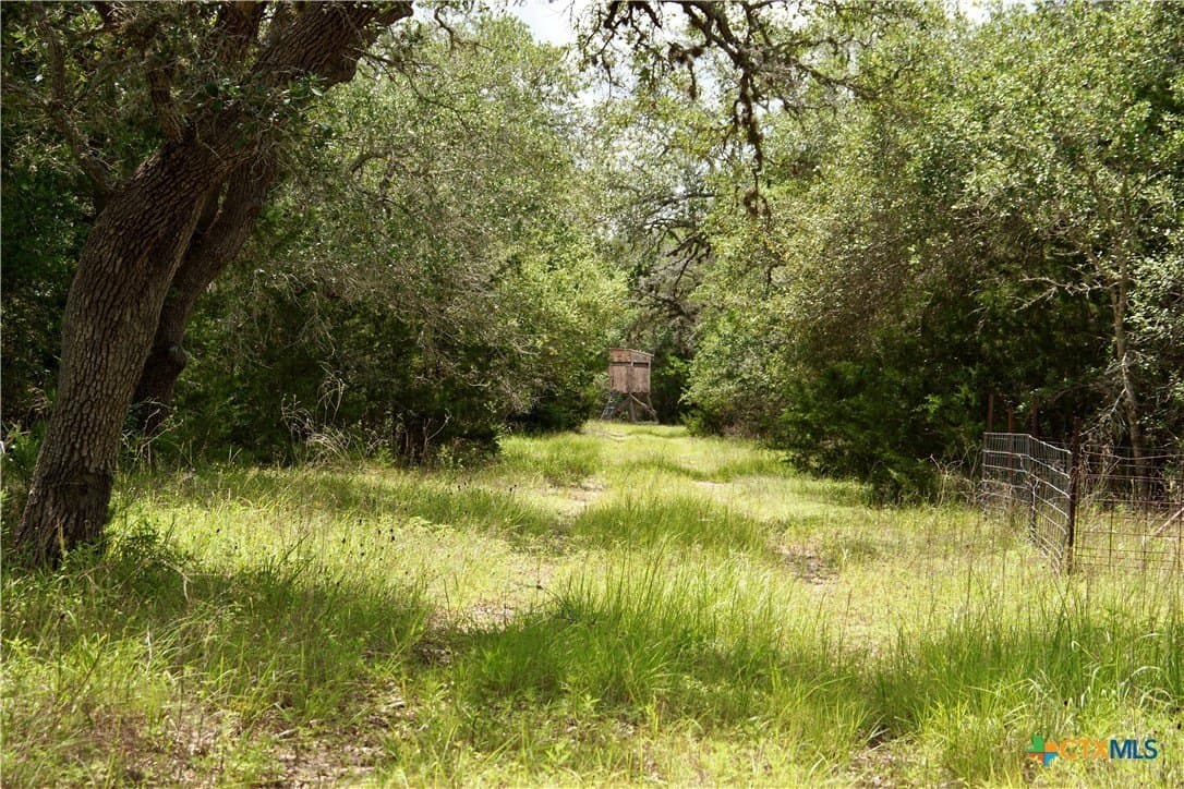 53.6 acres in DeWitt County - photo 21