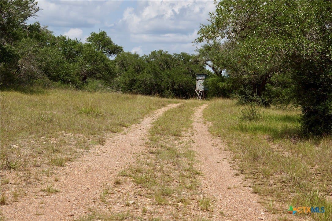 53.6 acres in DeWitt County - photo 27