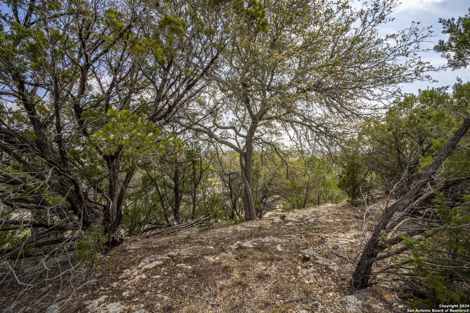 0.25 acres in Comal County - photo 11