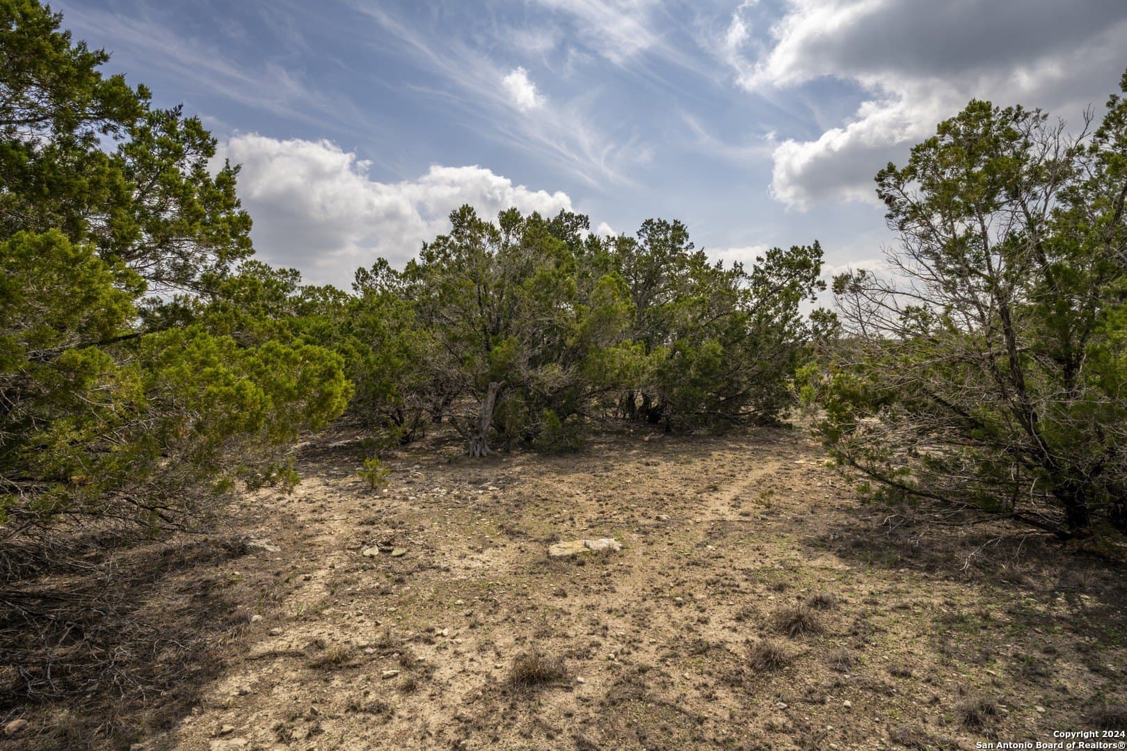 0.25 acres in Comal County - photo 7