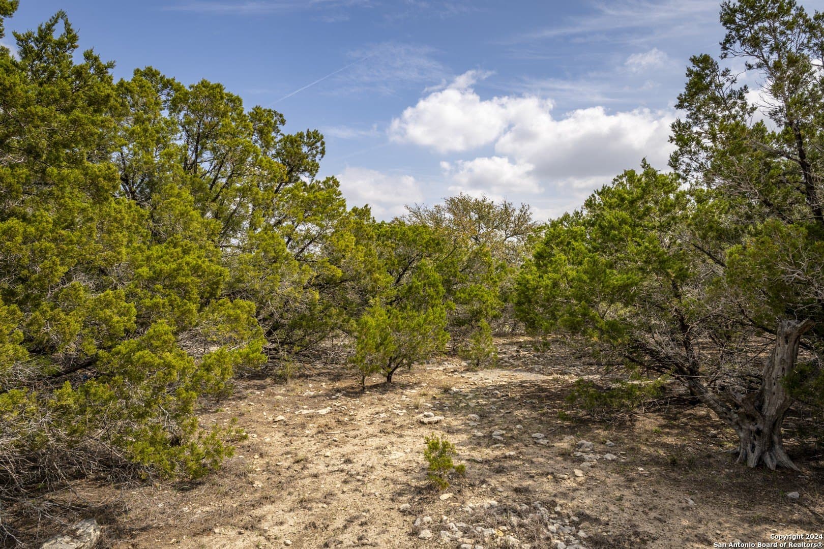 0.25 acres in Comal County - photo 6