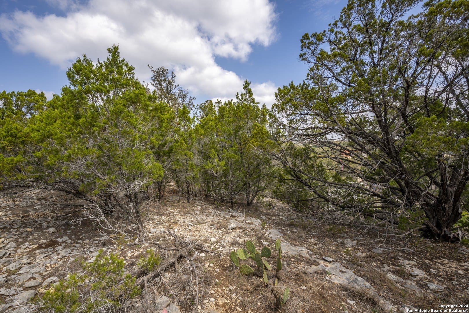0.25 acres in Comal County - photo 10