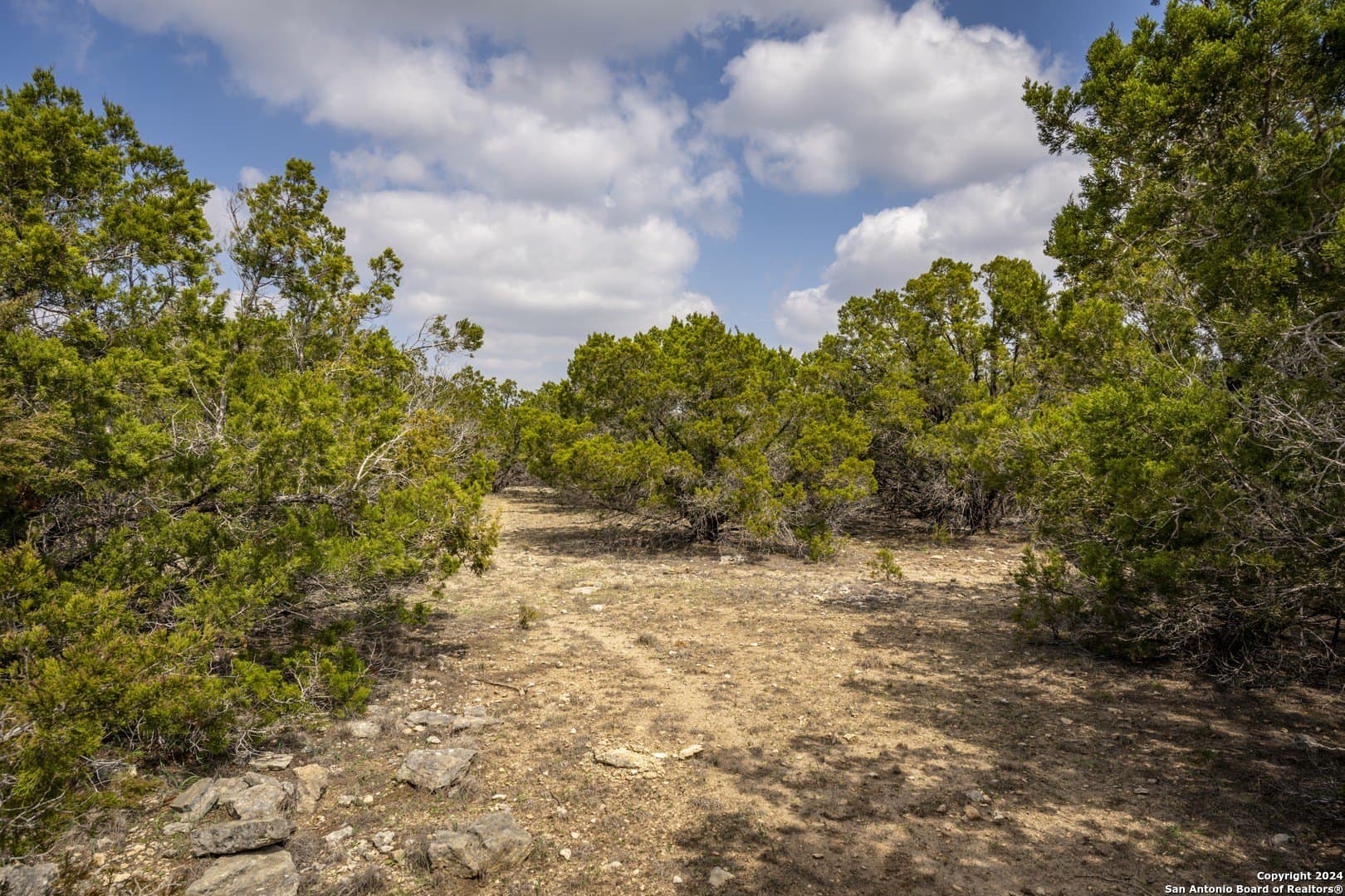 0.25 acres in Comal County gallery image 4