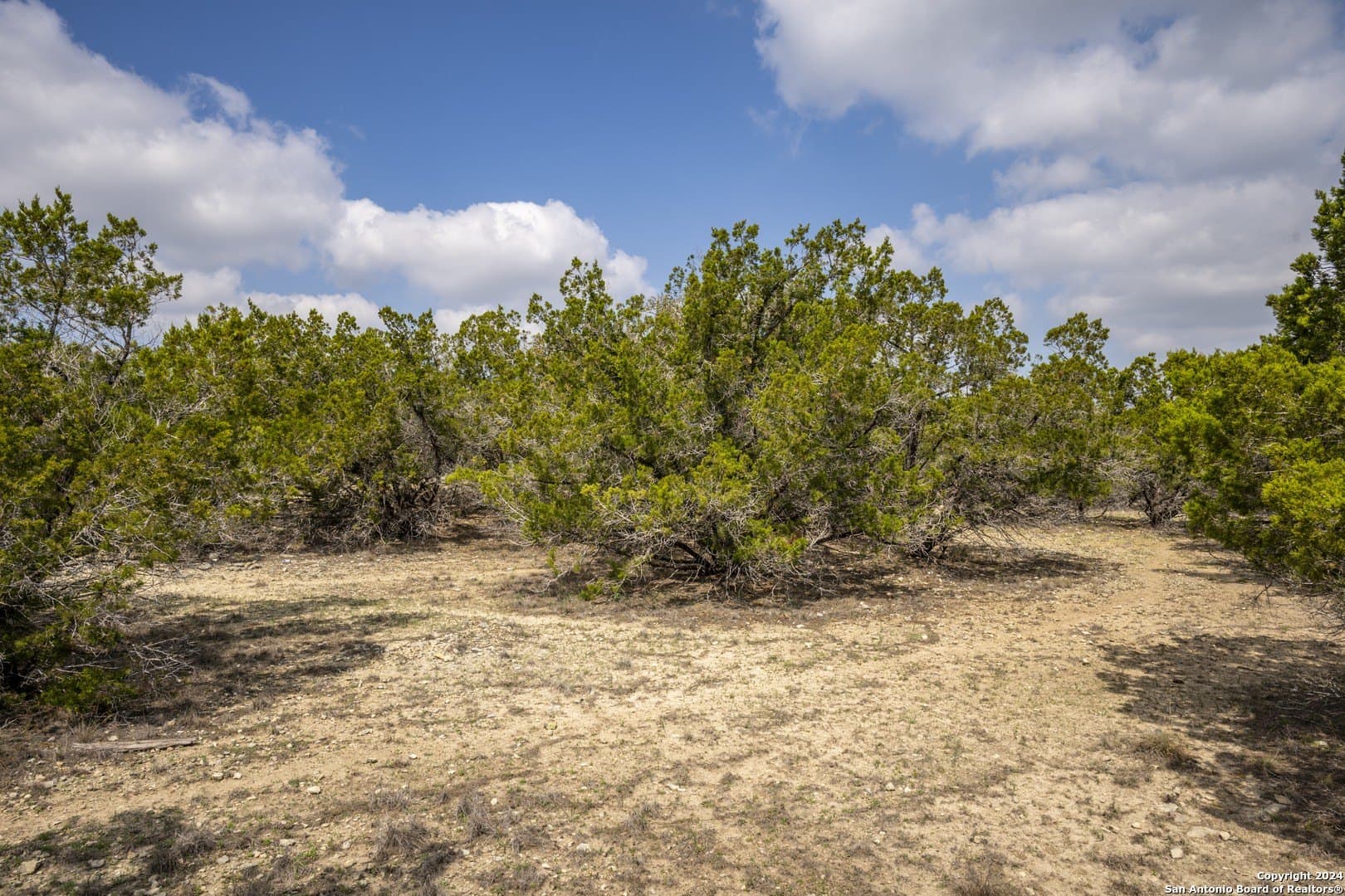 0.25 acres in Comal County featured view