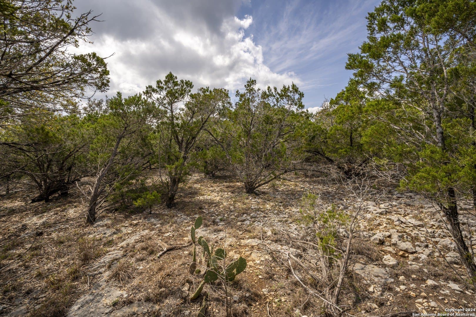 0.25 acres in Comal County - photo 12