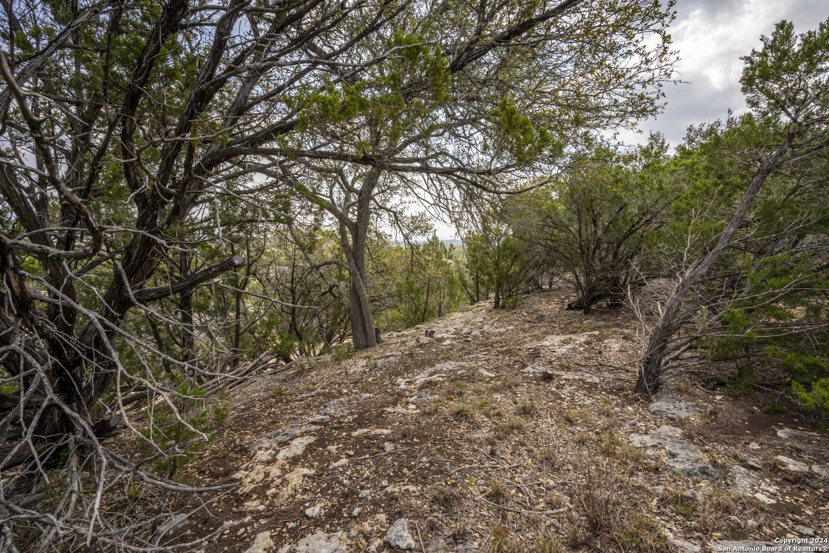 0.25 acres in Comal County - photo 13