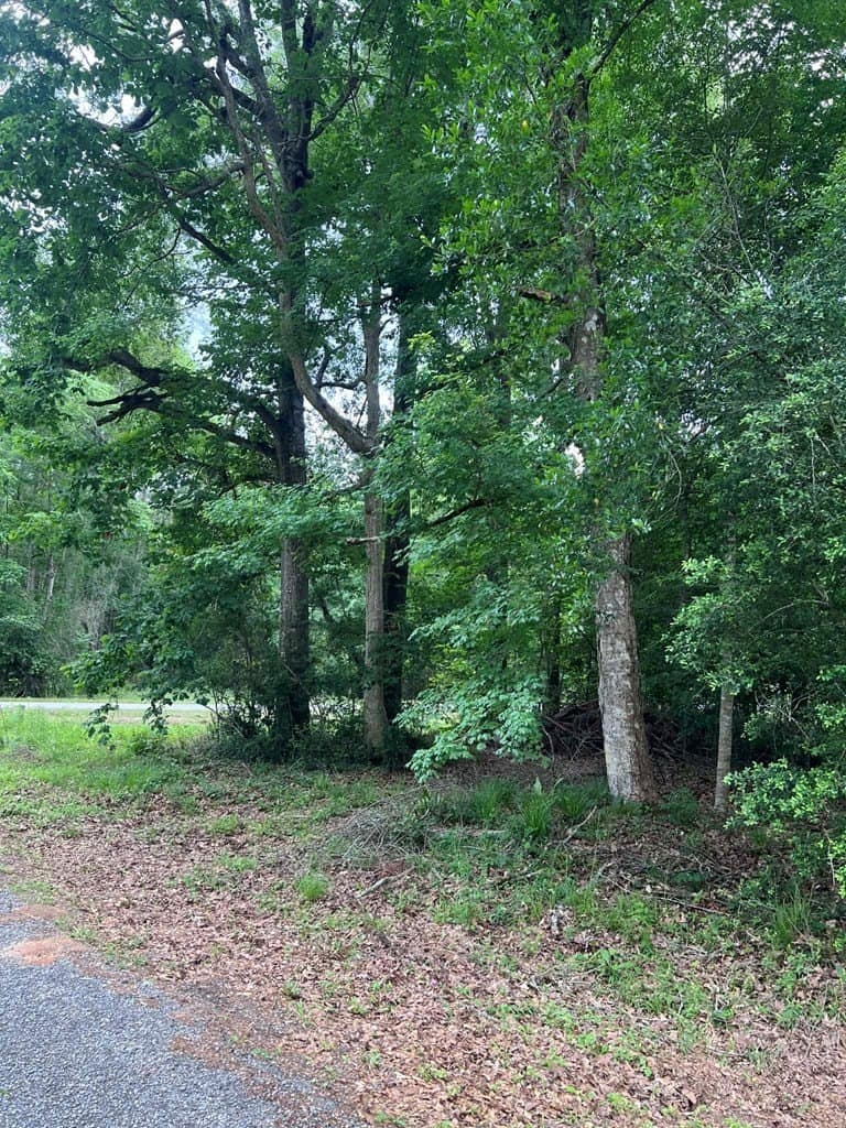 0.79 acres in Texas County featured view