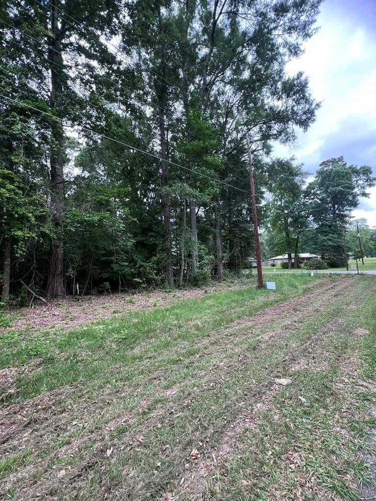 0.79 acres in Texas County gallery image 2