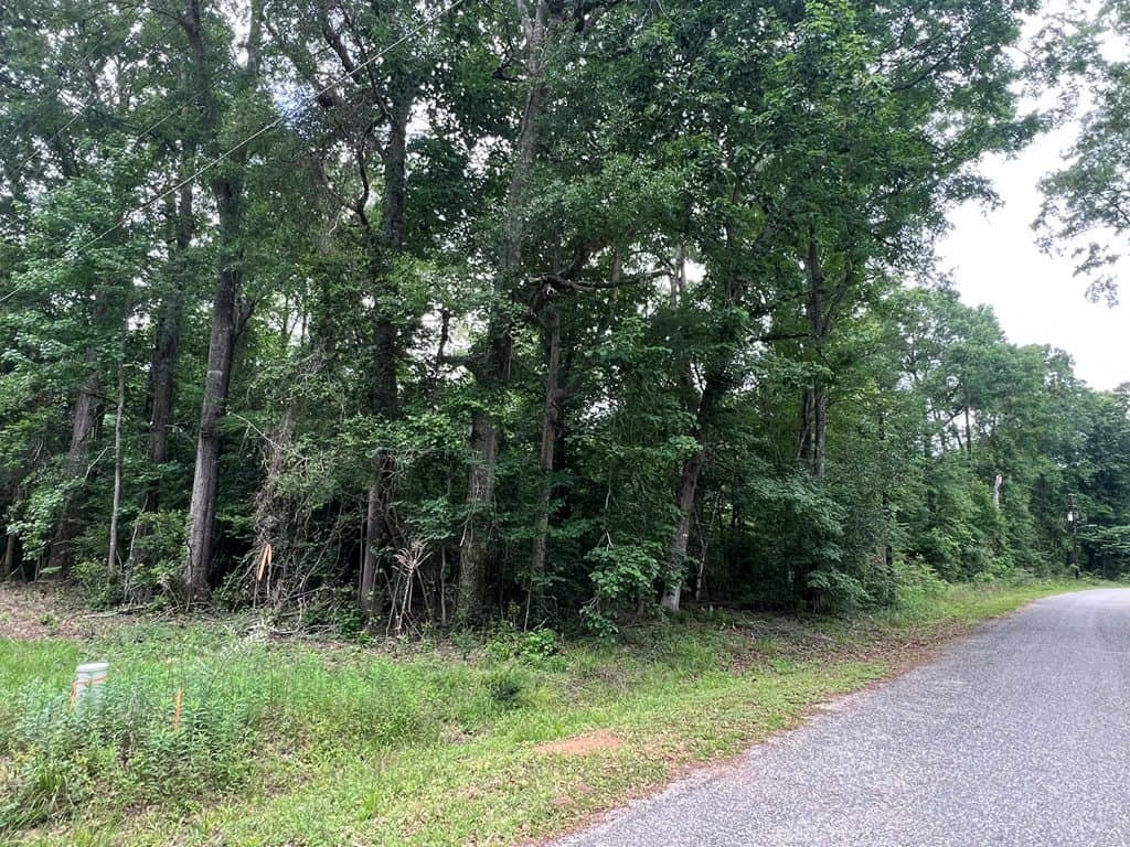 0.79 acres in Texas County gallery image 4