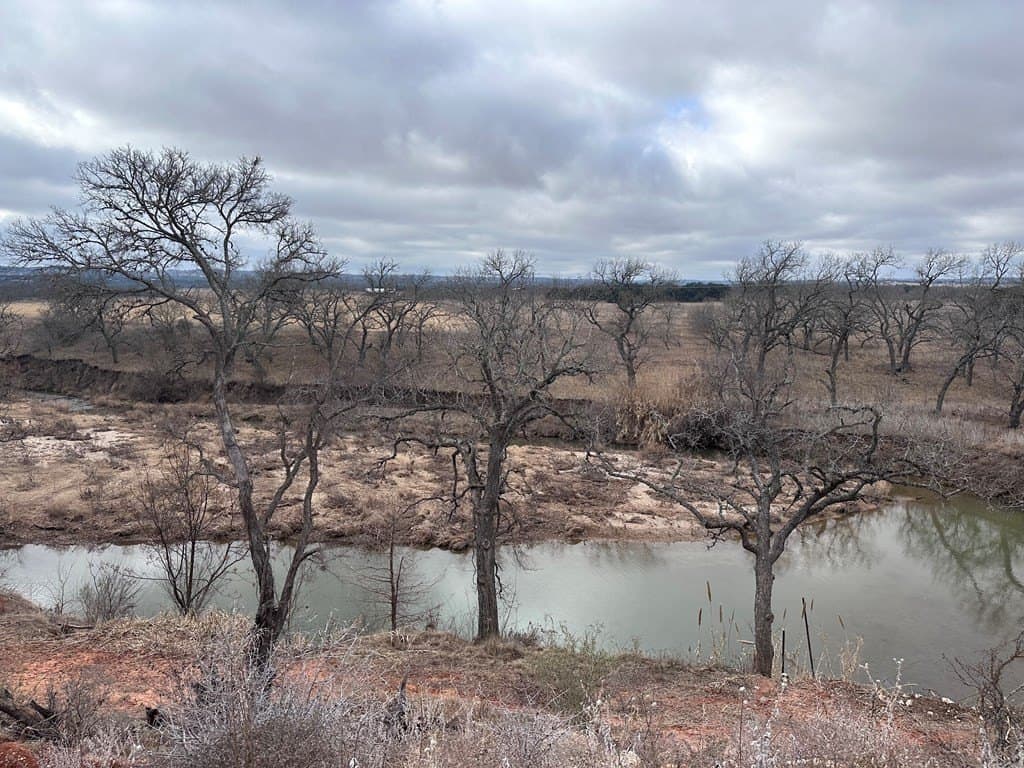 20 acres in Gillespie County gallery image 3