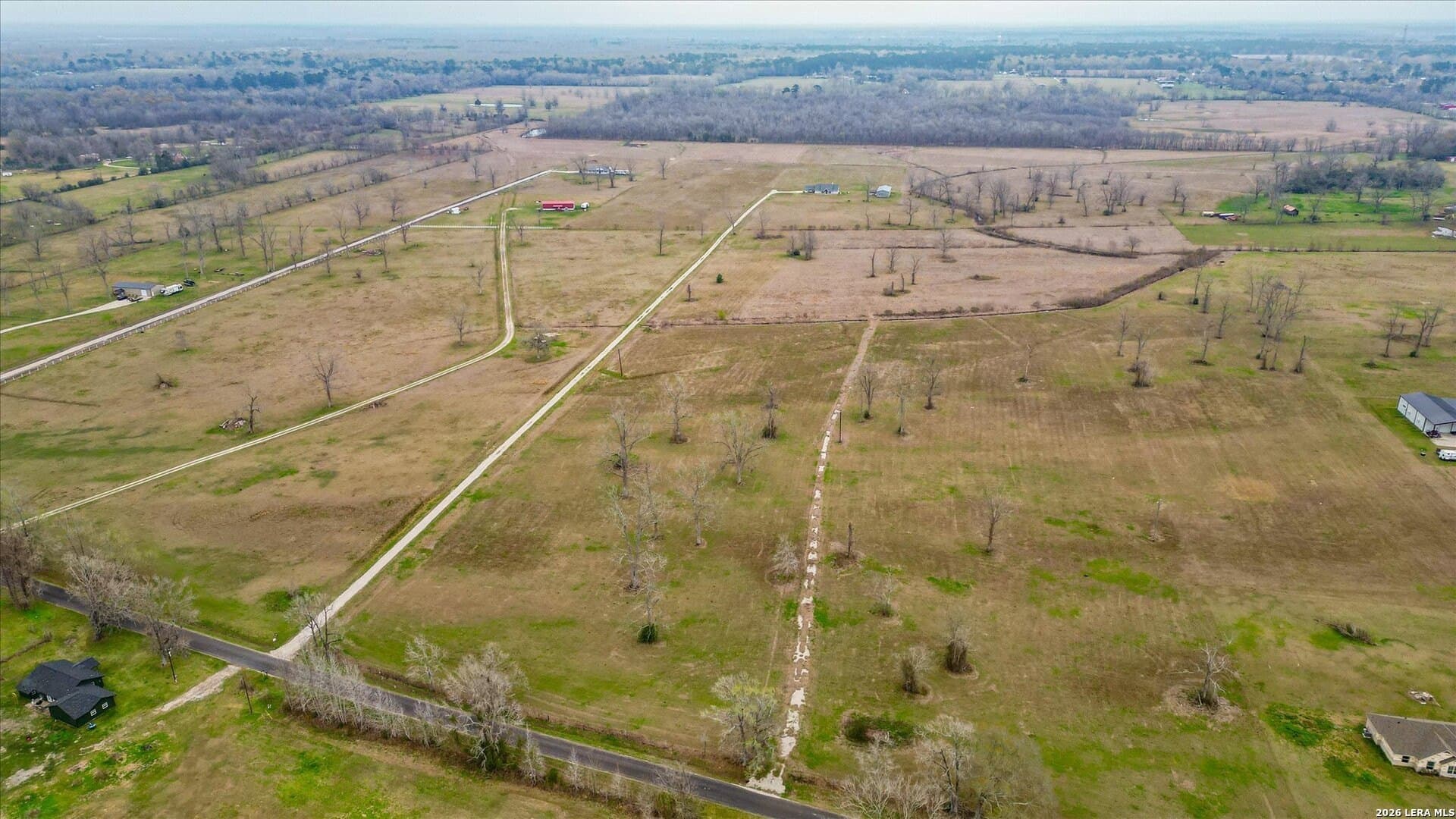 10.01 acres in Liberty County gallery image 4