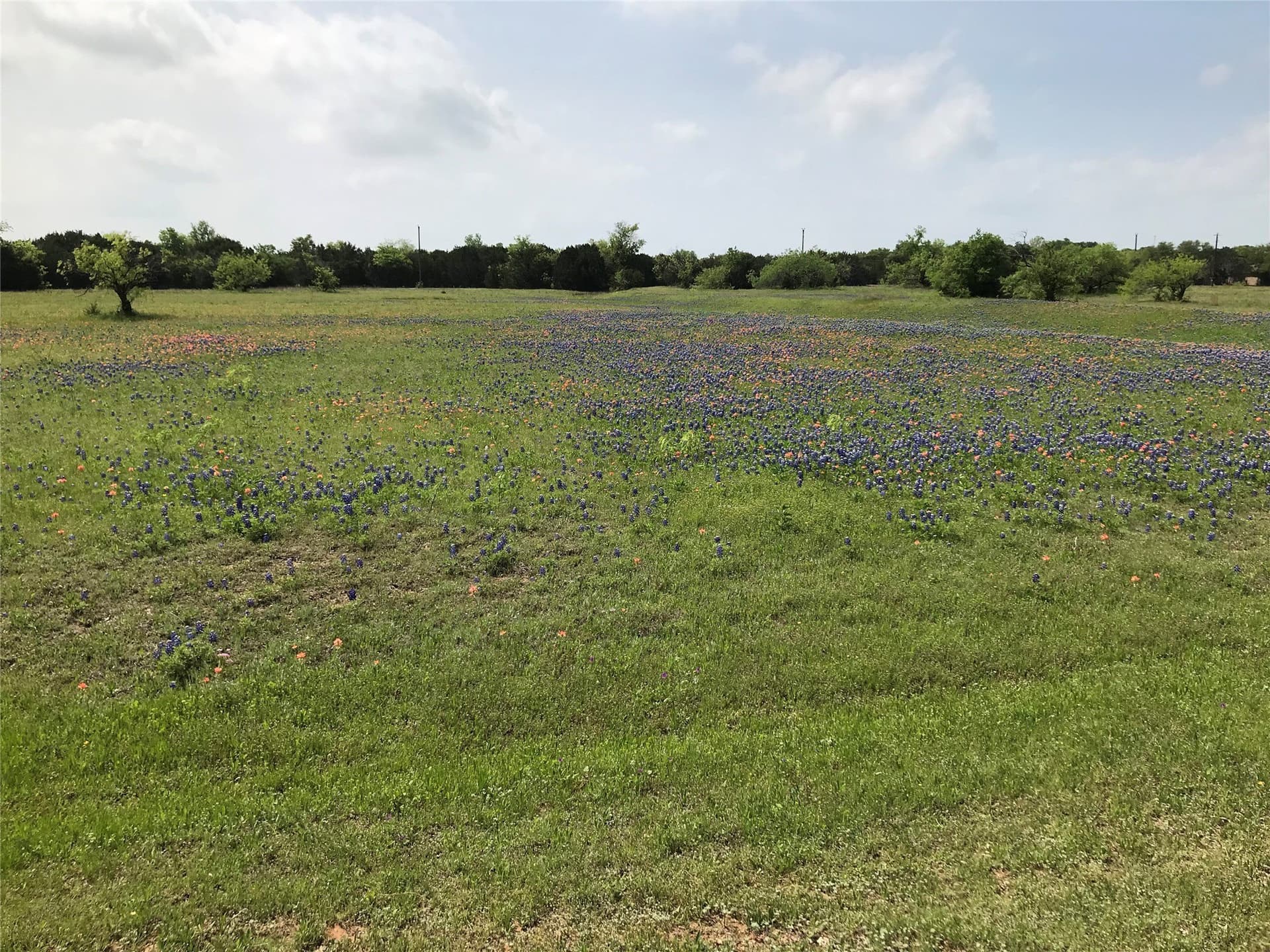 1.36 acres in Hill County featured view