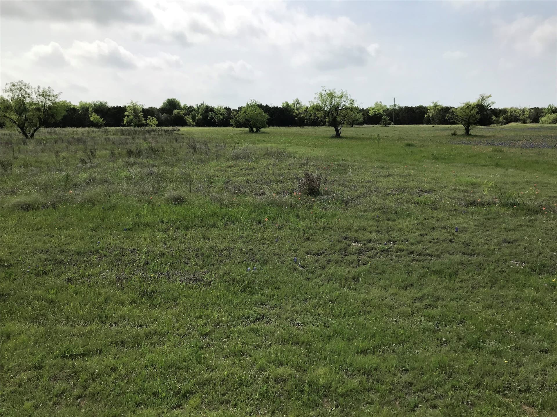 1.36 acres in Hill County gallery image 2