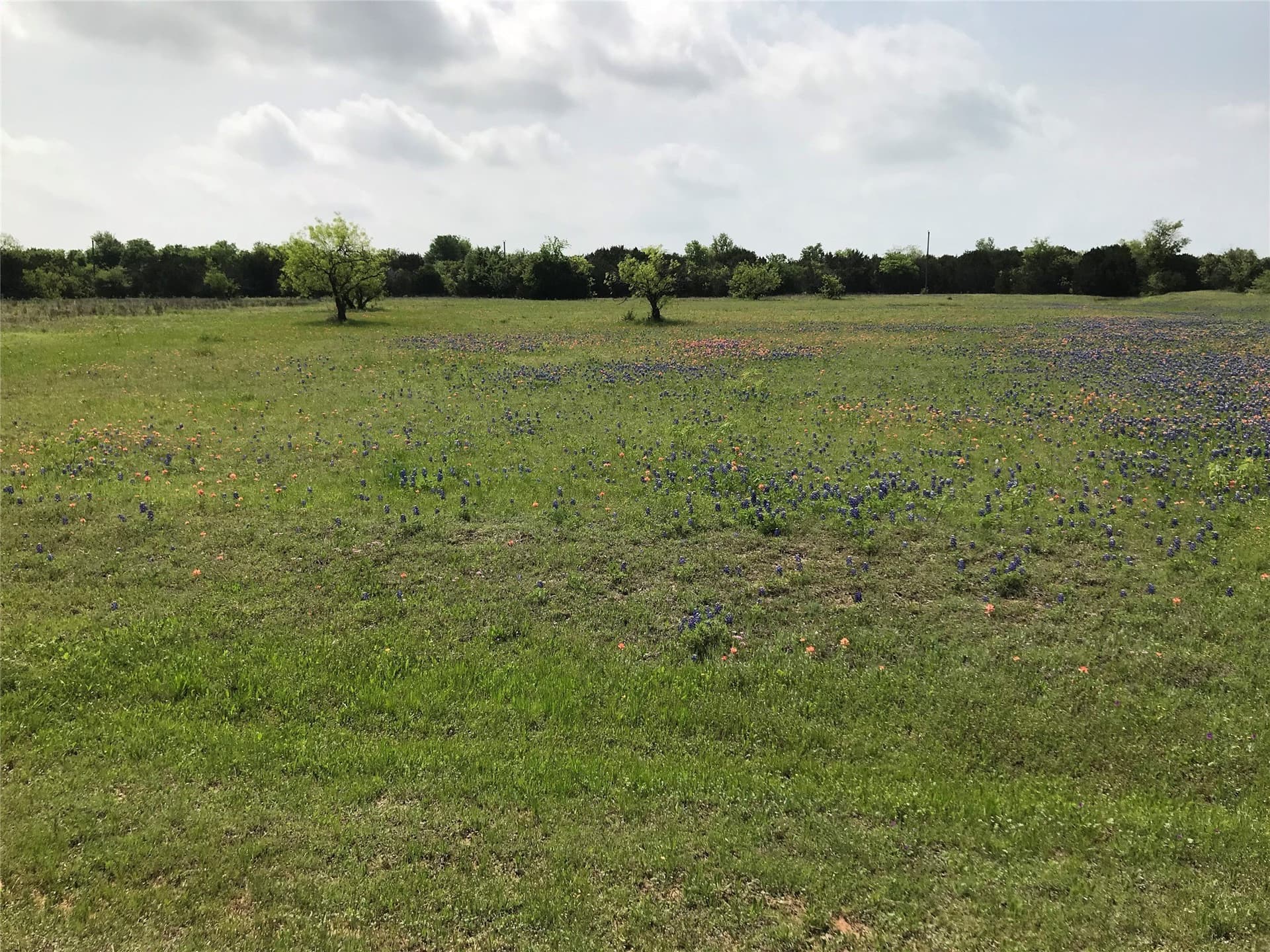 1.36 acres in Hill County gallery image 4