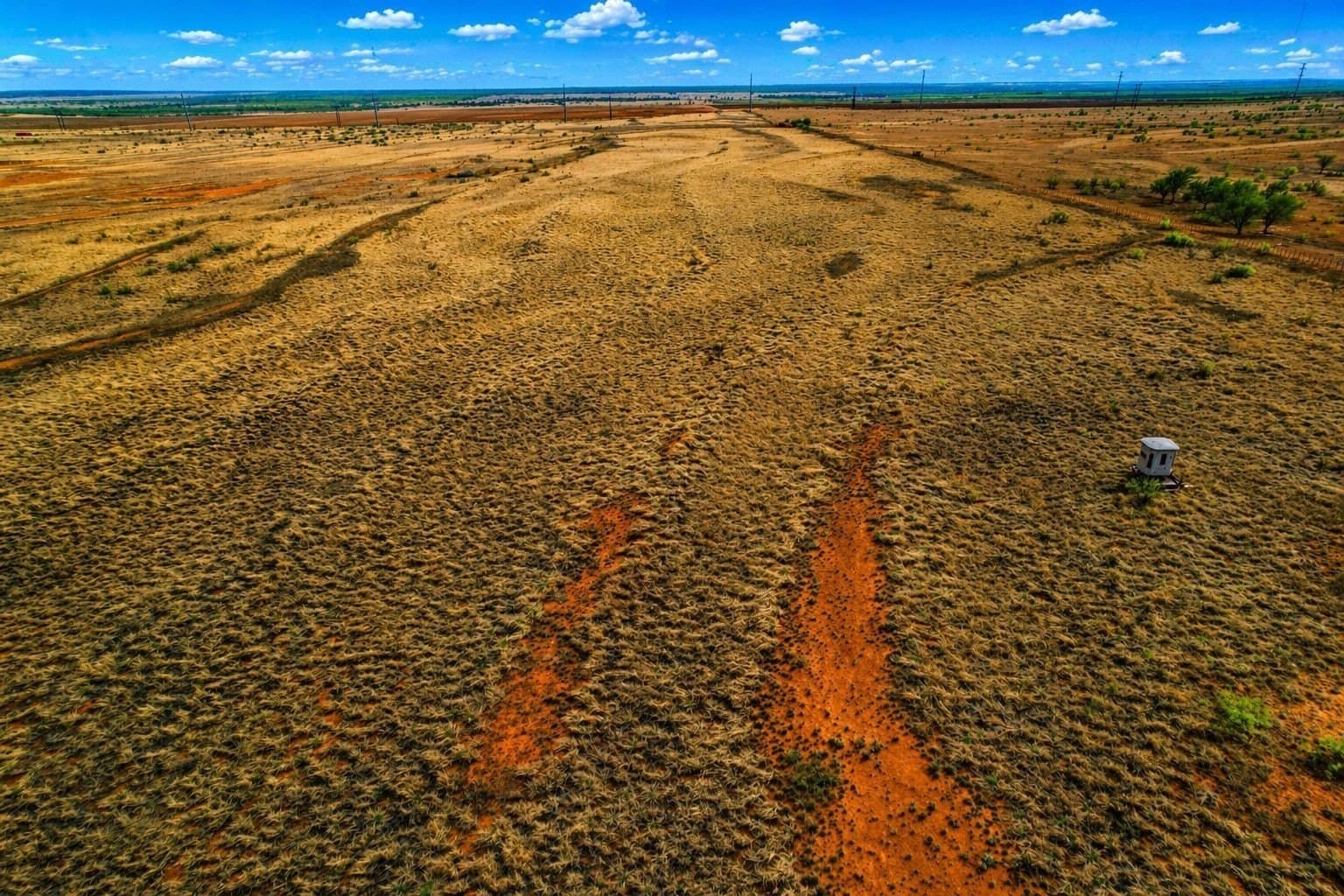 320 acres in Cottle County gallery image 4