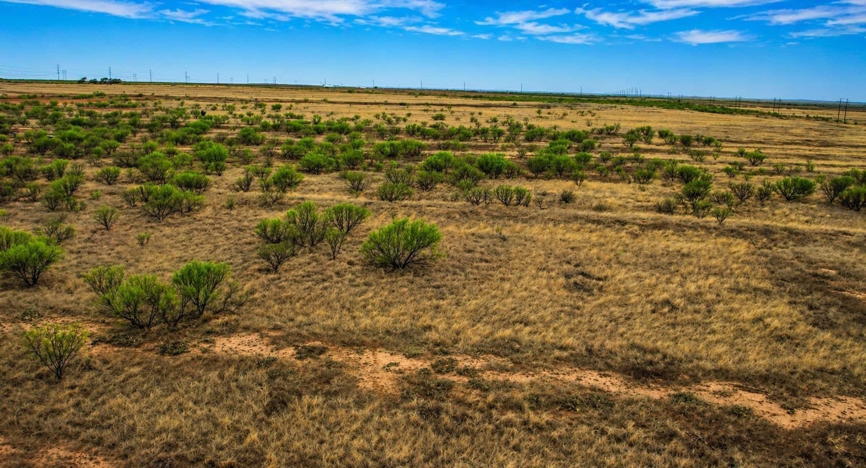 320 acres in Cottle County gallery image 3
