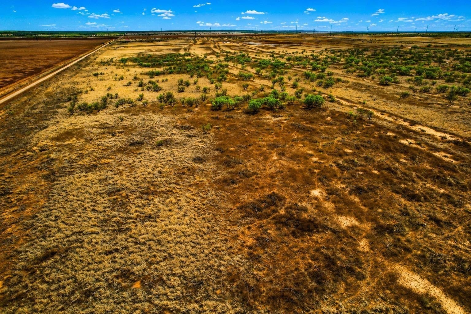 320 acres in Cottle County gallery image 2