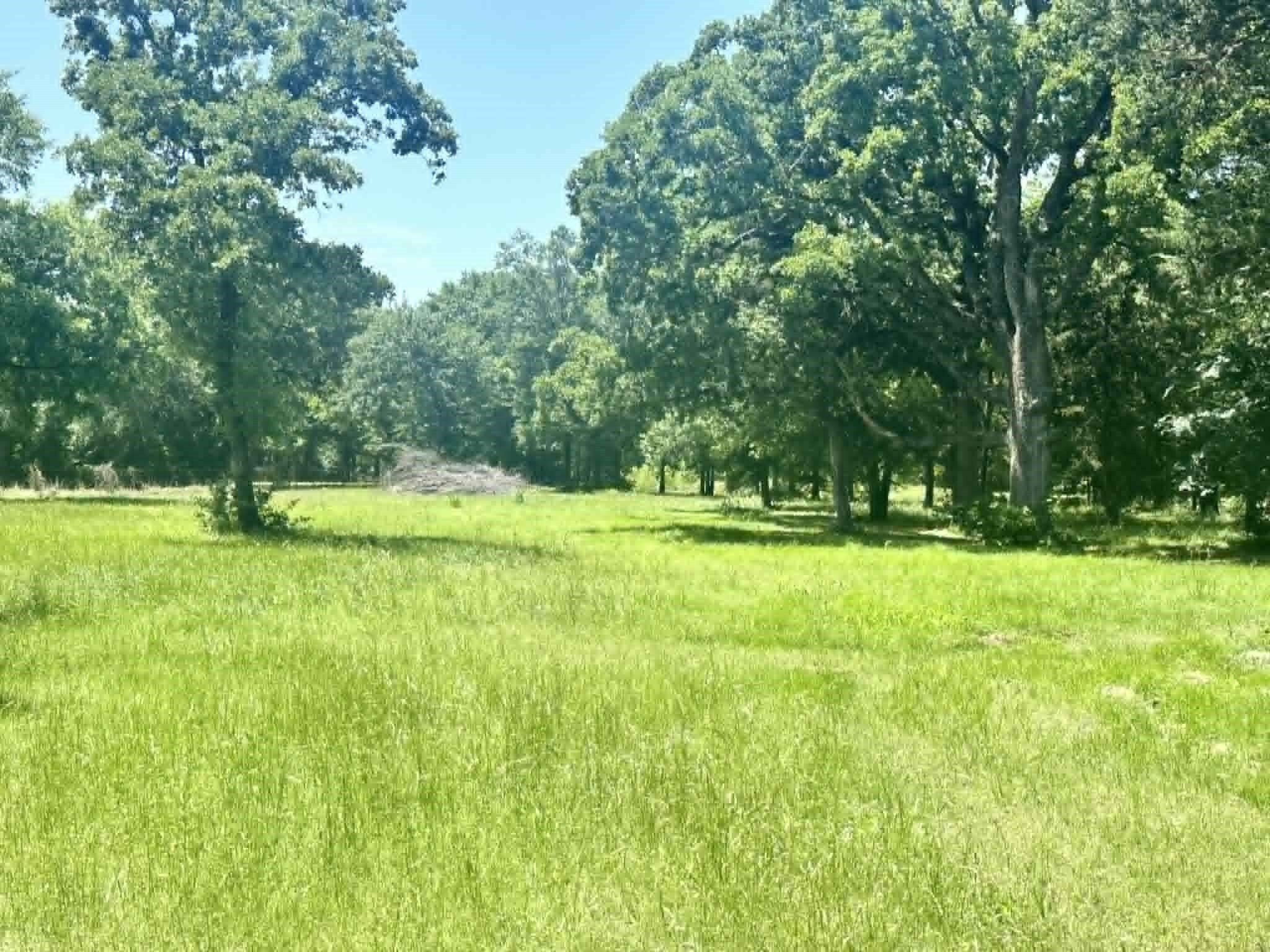 15.39 acres in Kaufman County gallery image 3