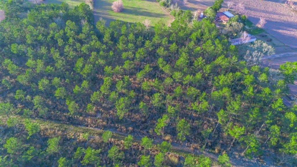 47 acres in Texas County gallery image 3