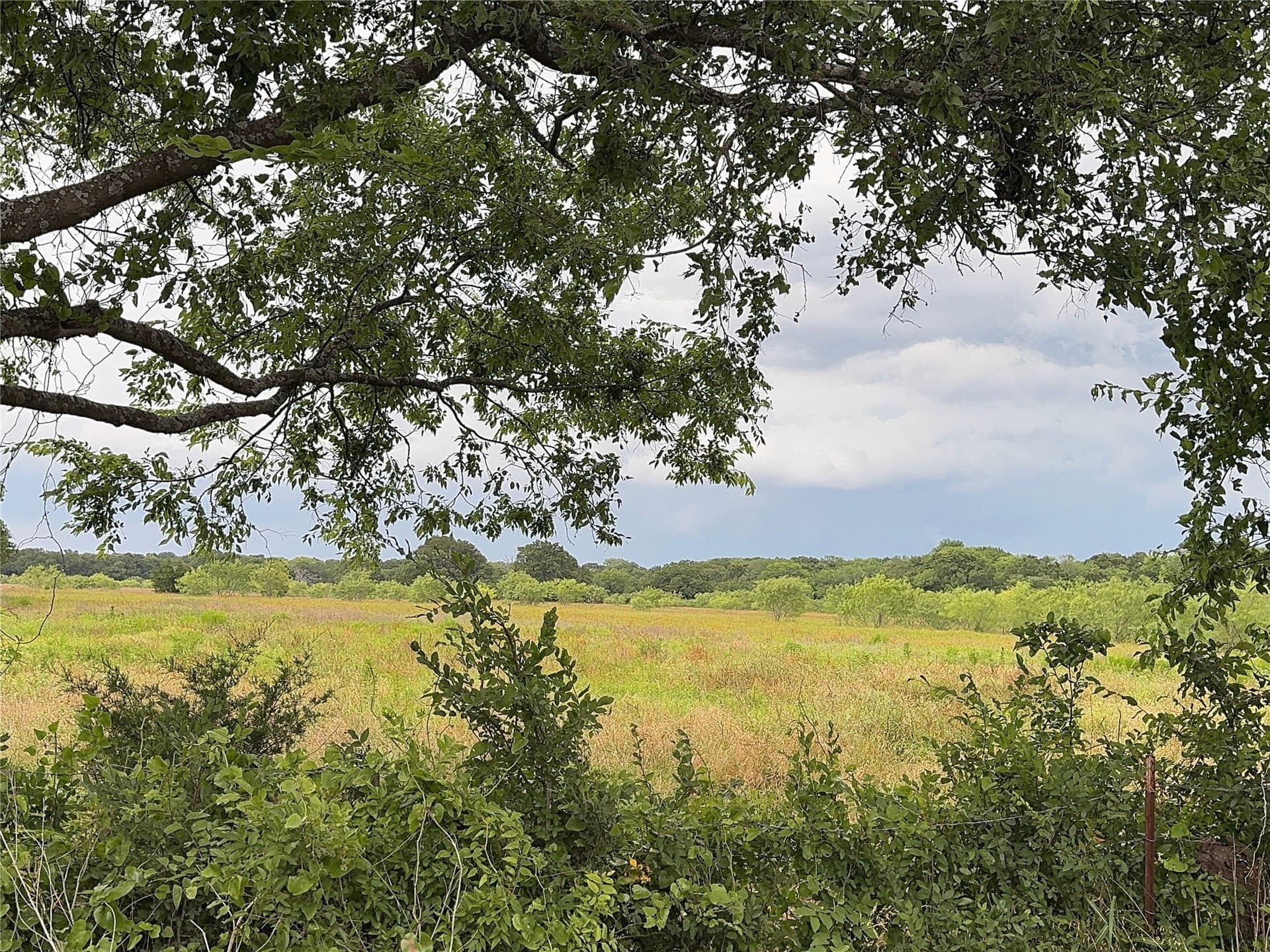 60 acres in Kaufman County gallery image 2