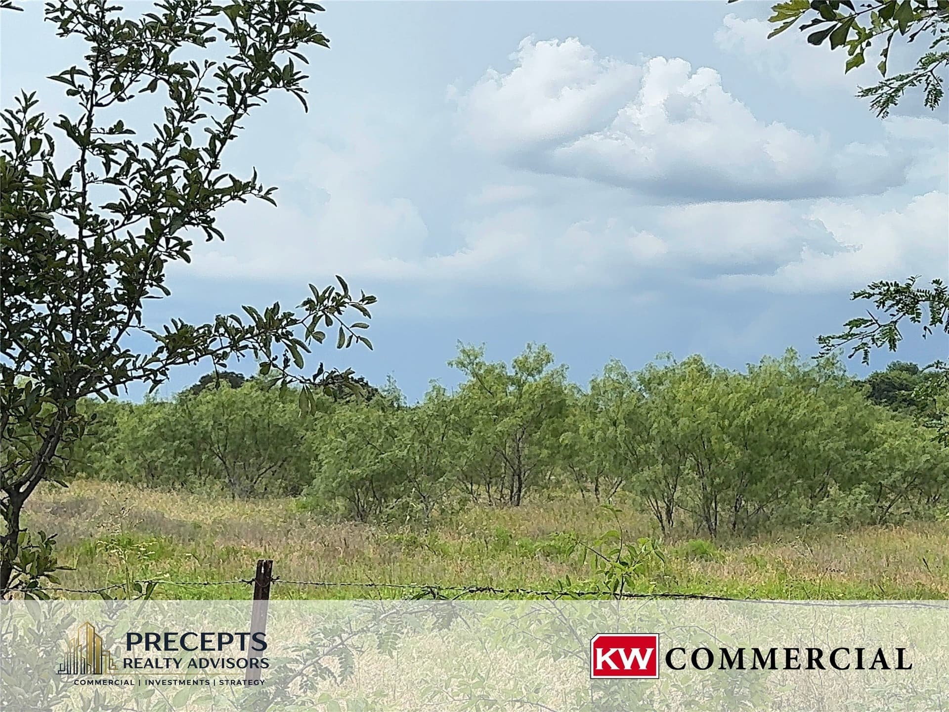 60 acres in Kaufman County gallery image 3