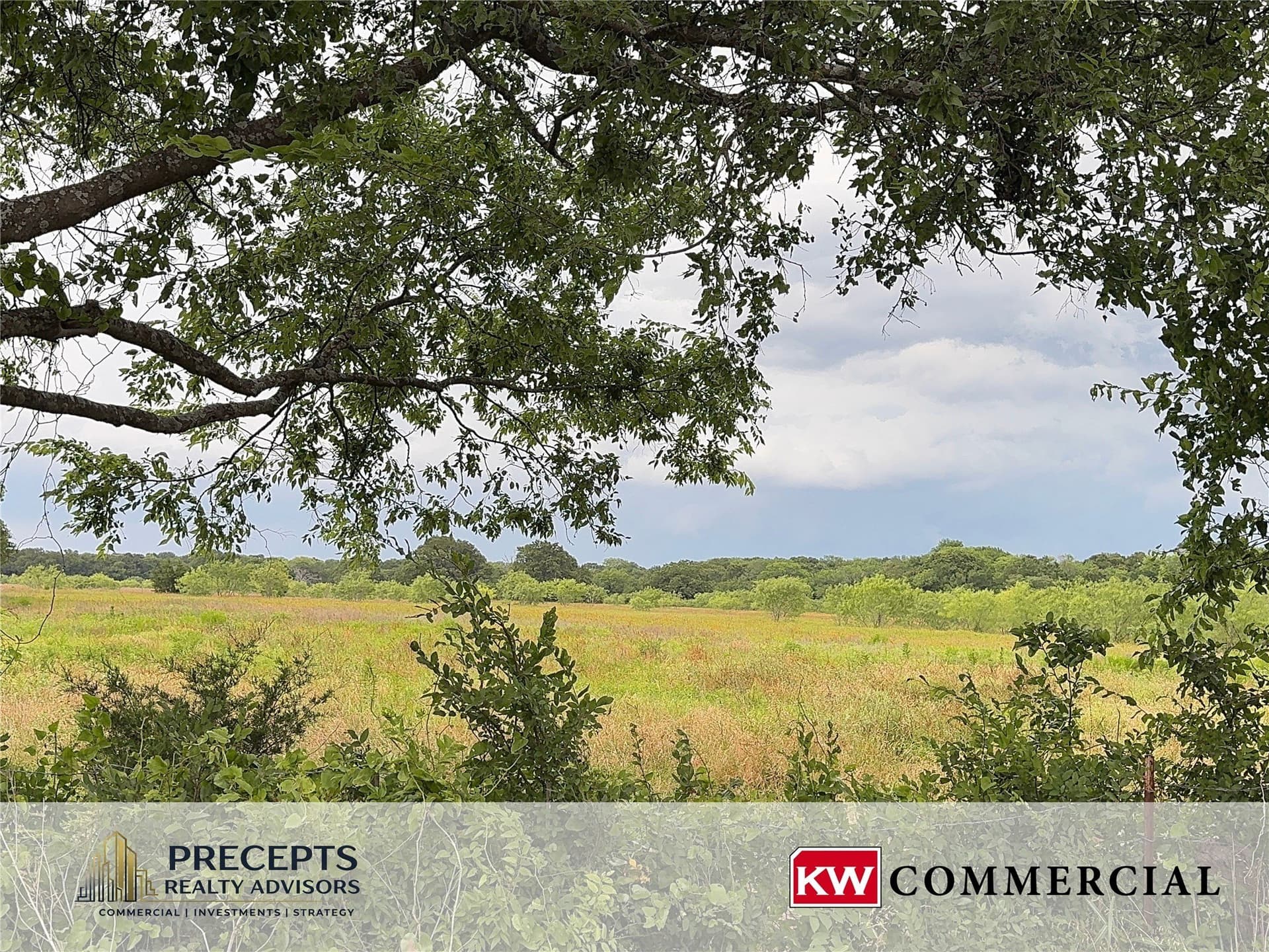 60 acres in Kaufman County gallery image 4