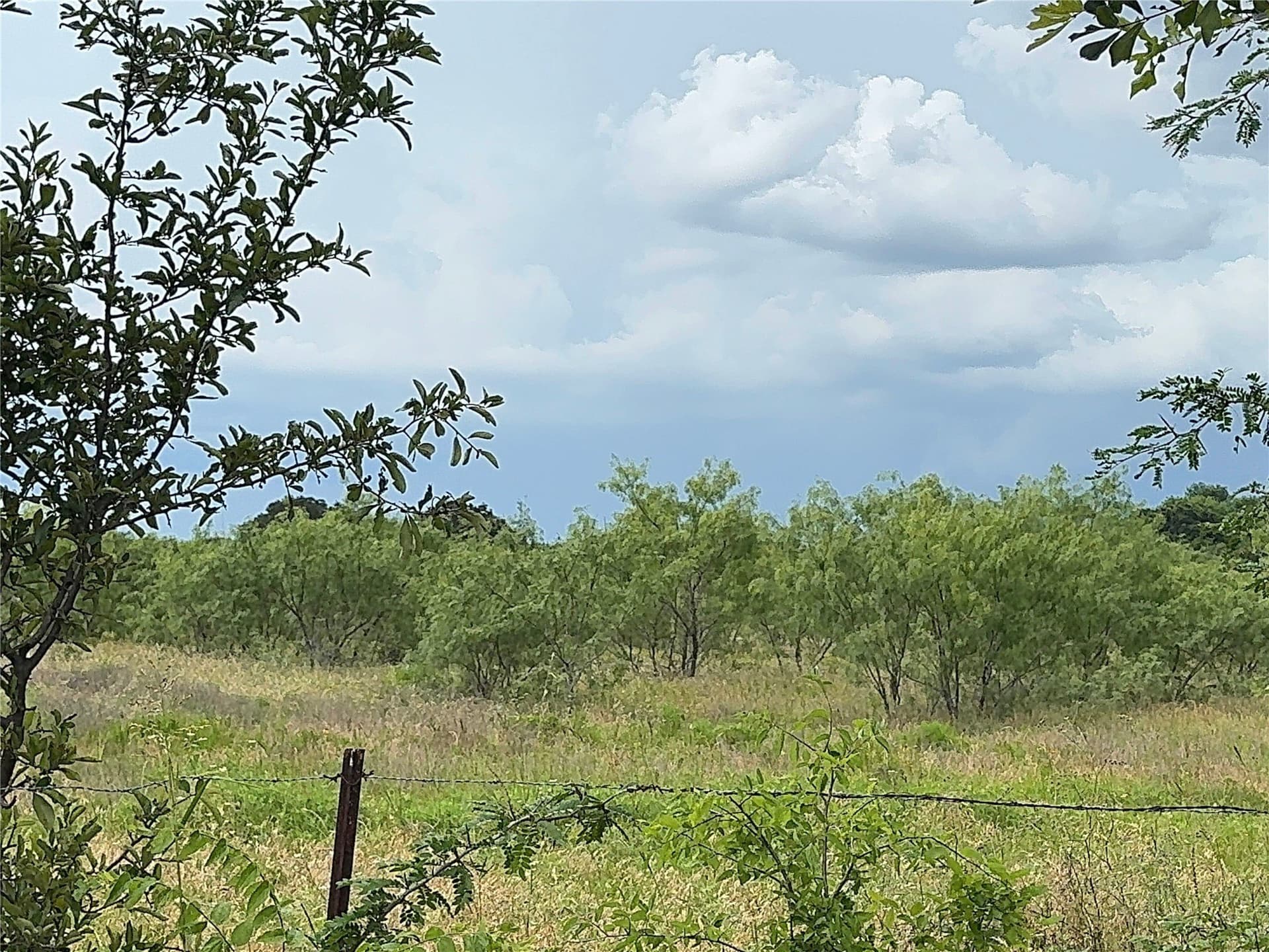 60 acres in Kaufman County gallery image 3