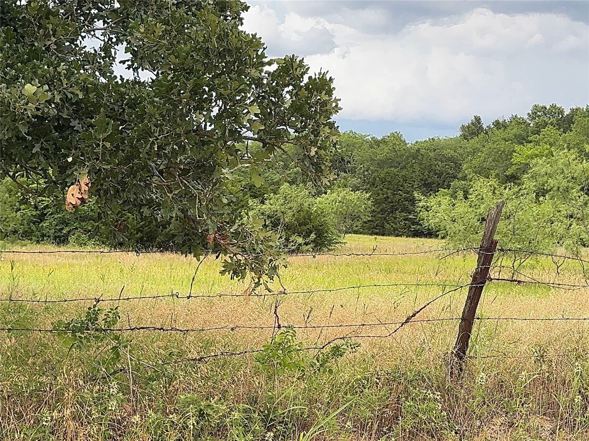 60 acres in Kaufman County gallery image 4