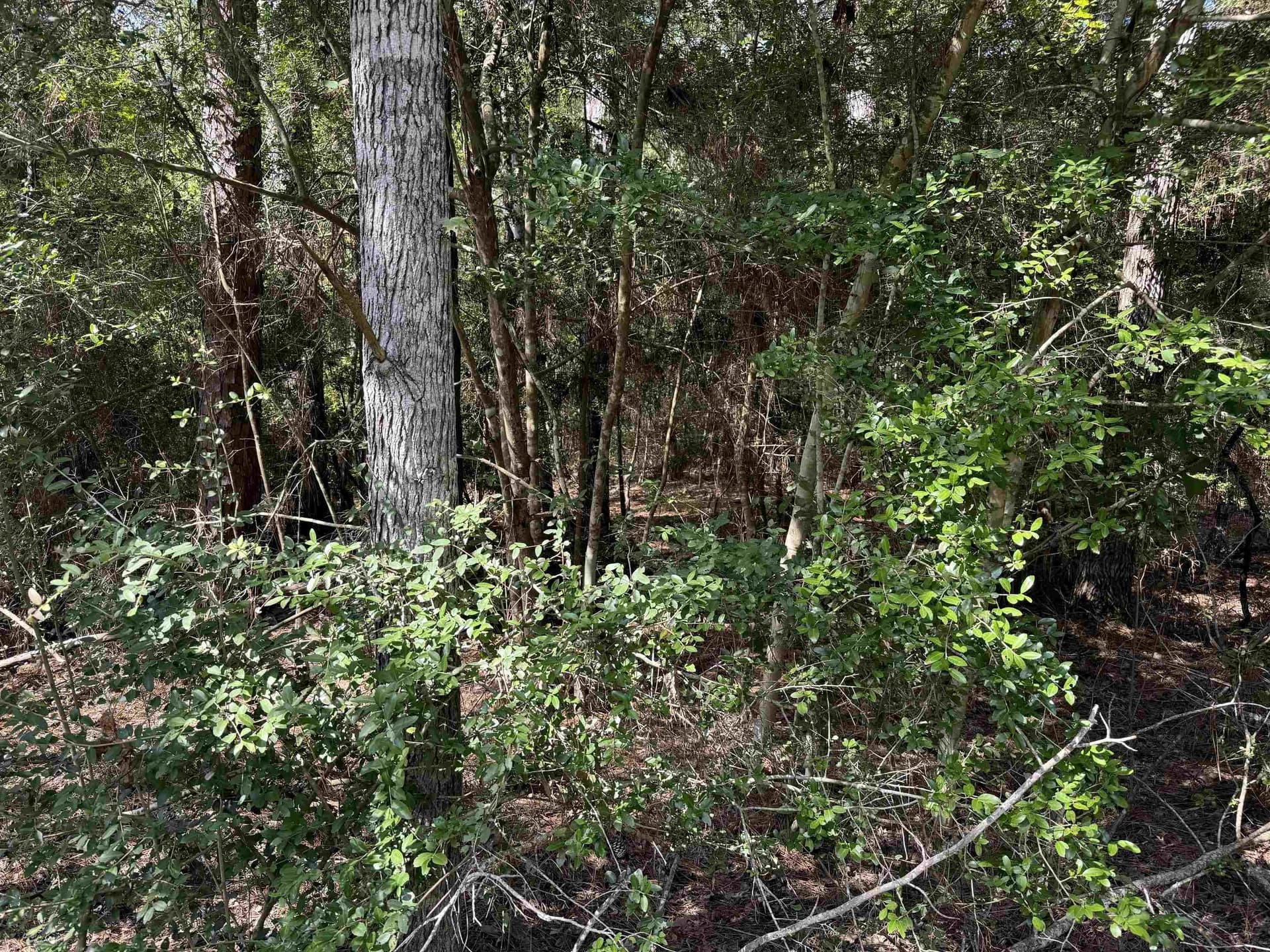 0.25 acres in Texas County