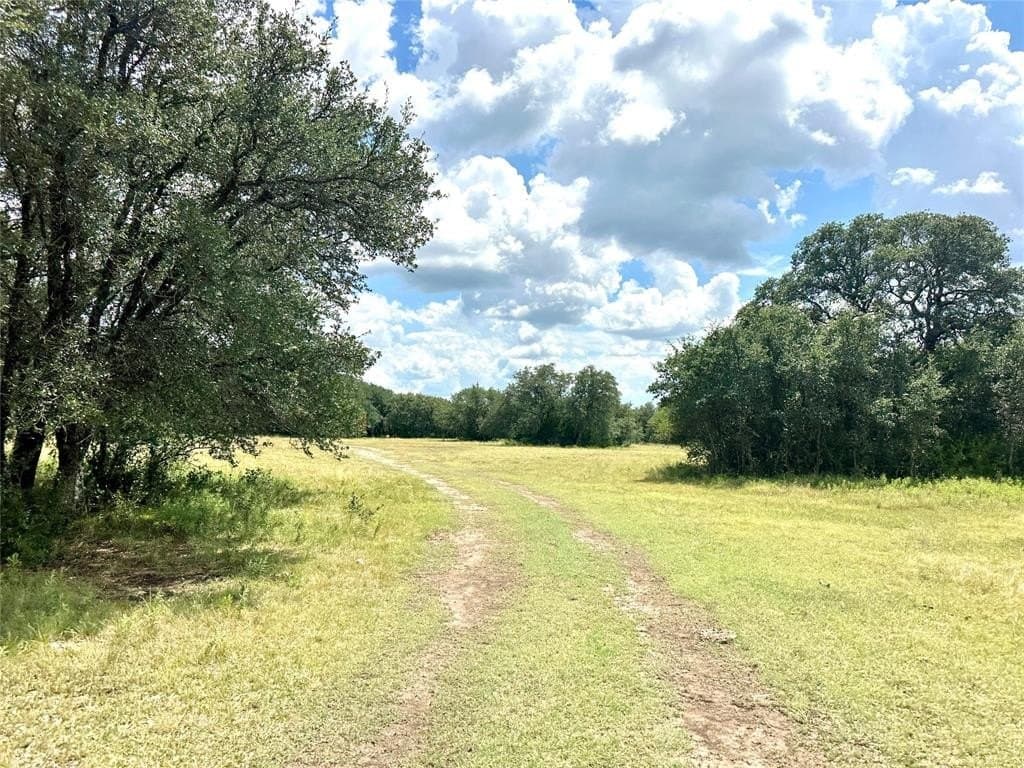 17.5 acres in Mills County gallery image 4