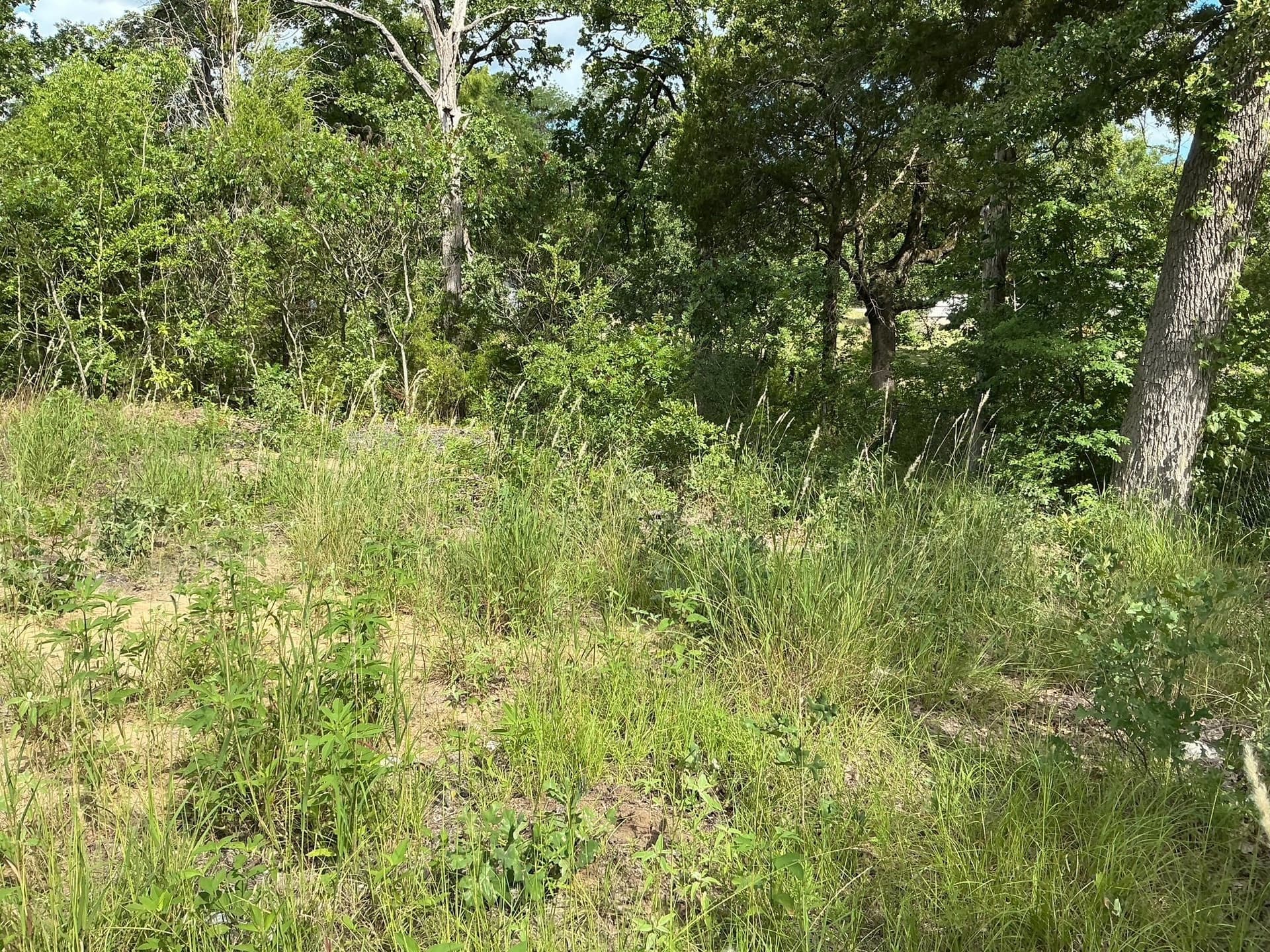 0.1 acres in Henderson County - photo 6