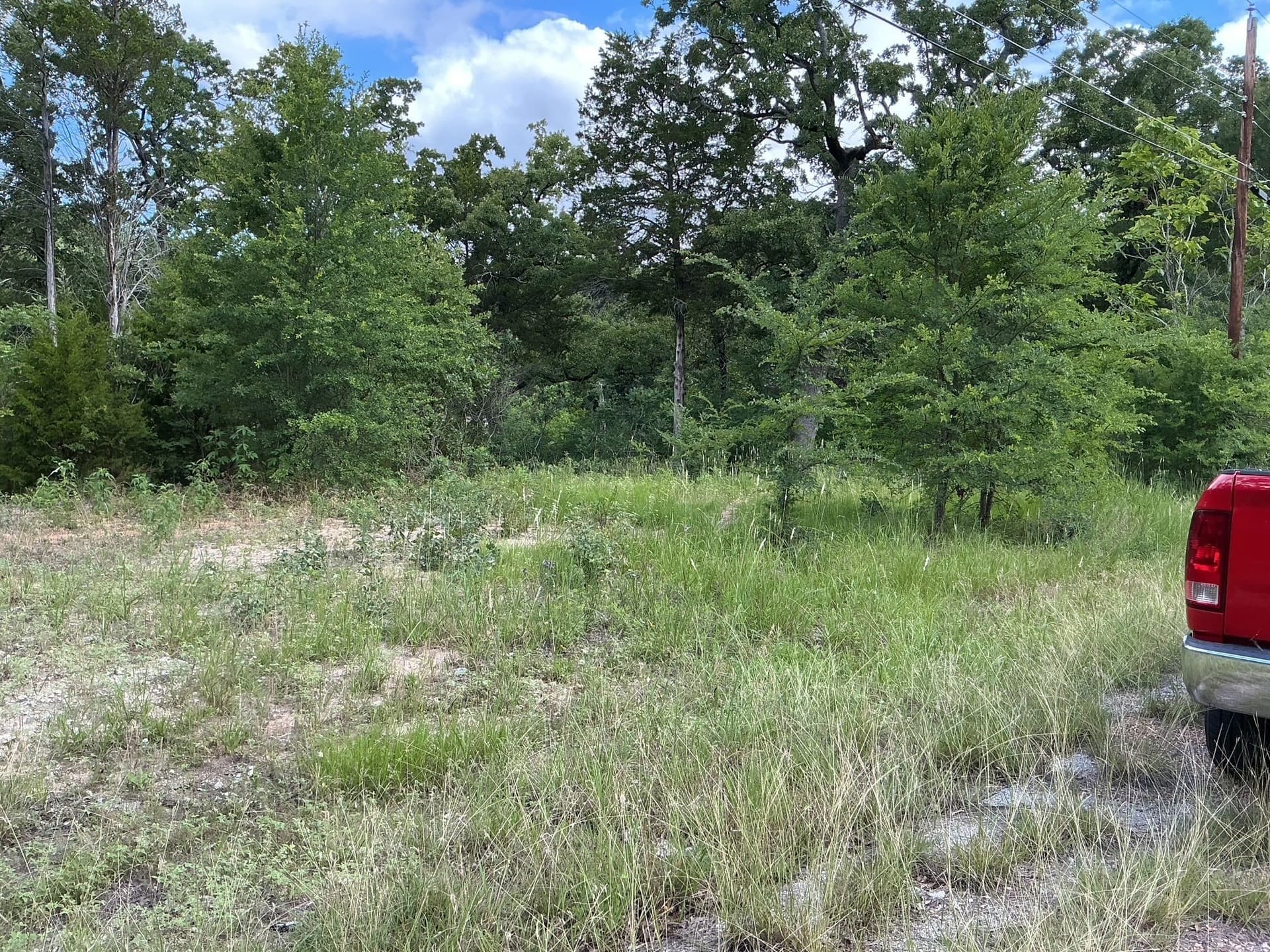 0.1 acres in Henderson County gallery image 2
