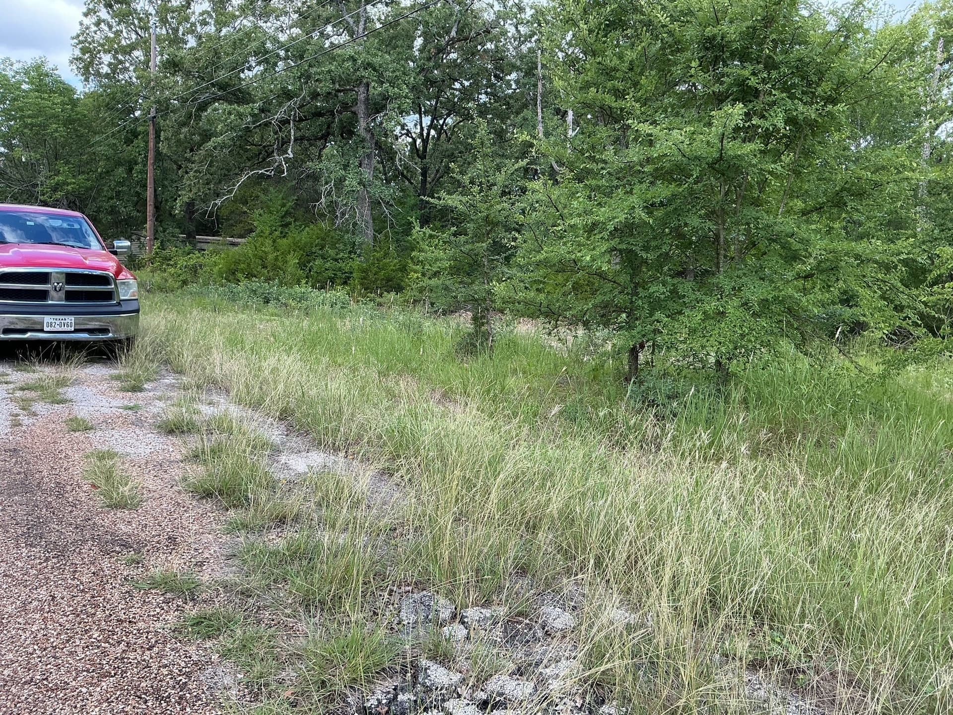 0.1 acres in Henderson County gallery image 4