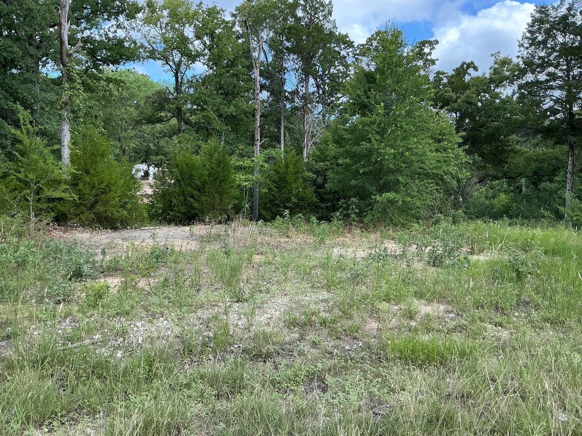 0.1 acres in Henderson County gallery image 3