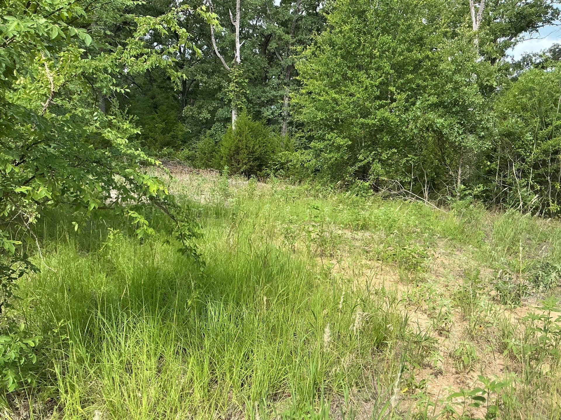 0.1 acres in Henderson County featured view