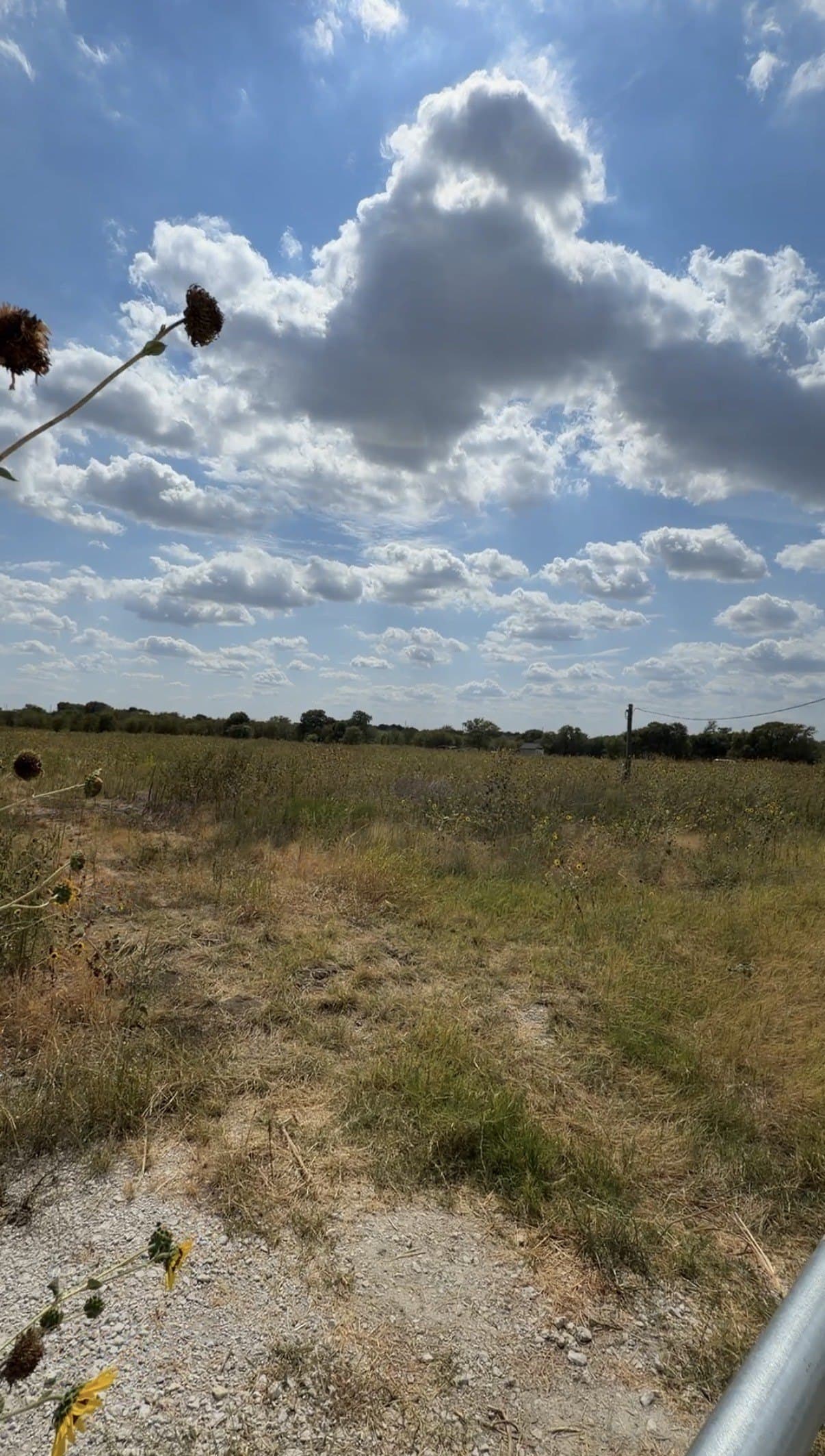 11.99 acres in Hill County - photo 17