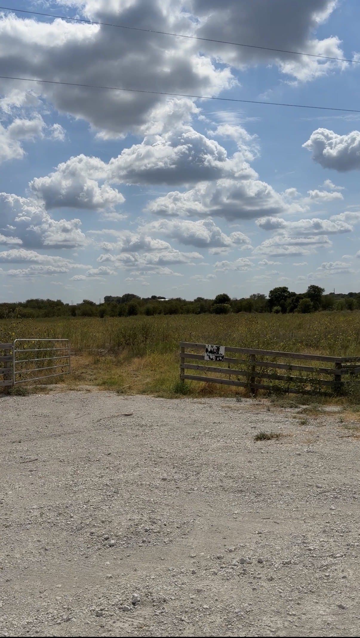 11.99 acres in Hill County - photo 15