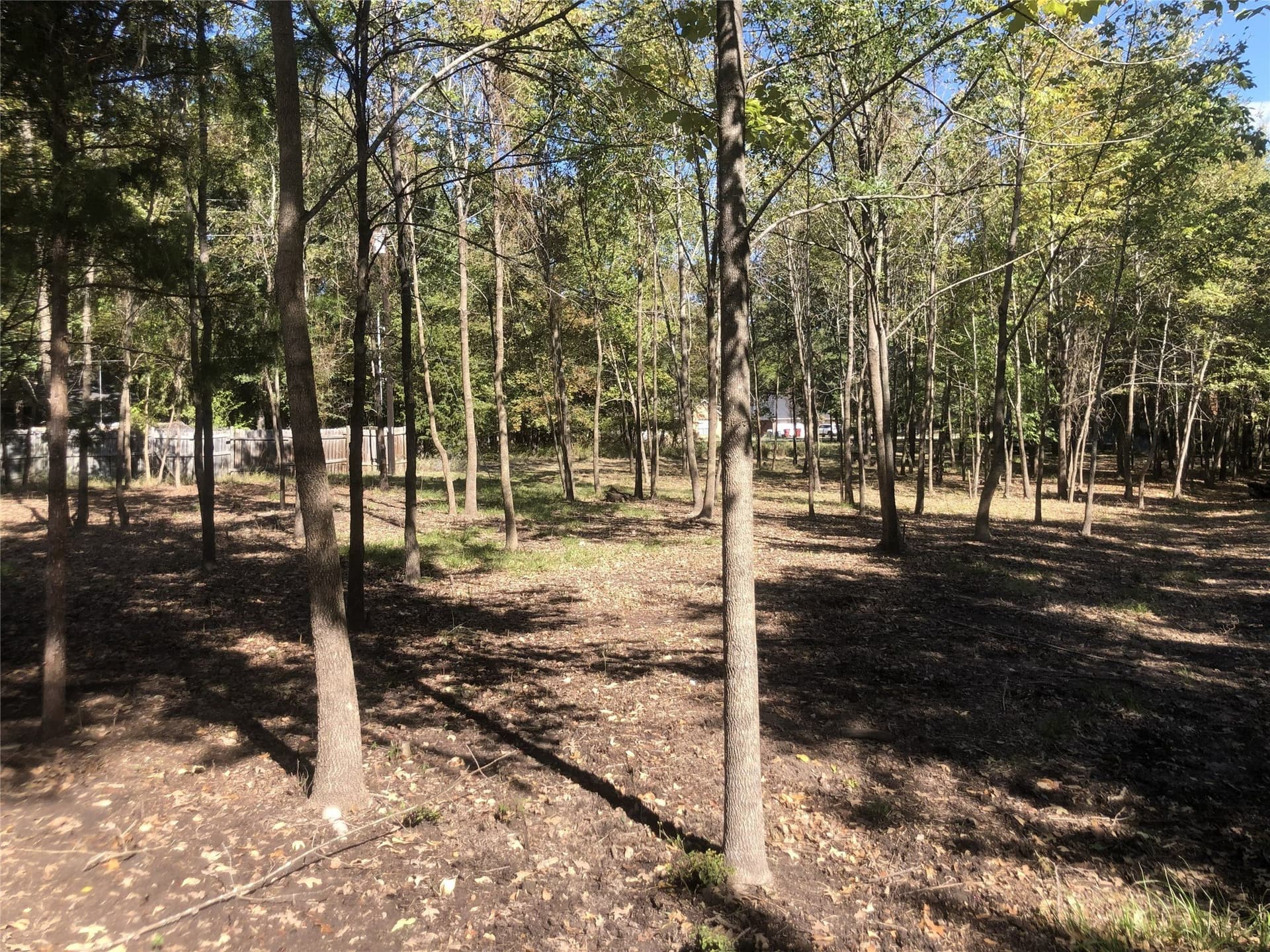 0.46 acres in Hunt County gallery image 4