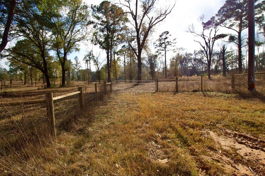 24.69 acres in HOUSTON County gallery image 3