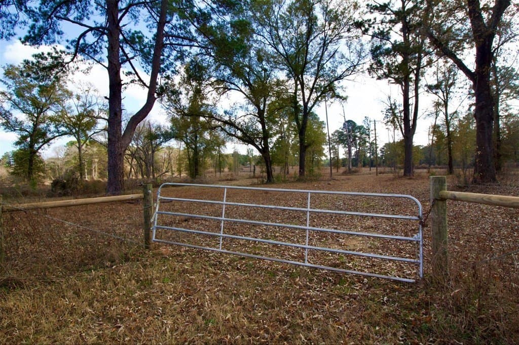 24.69 acres in HOUSTON County gallery image 4