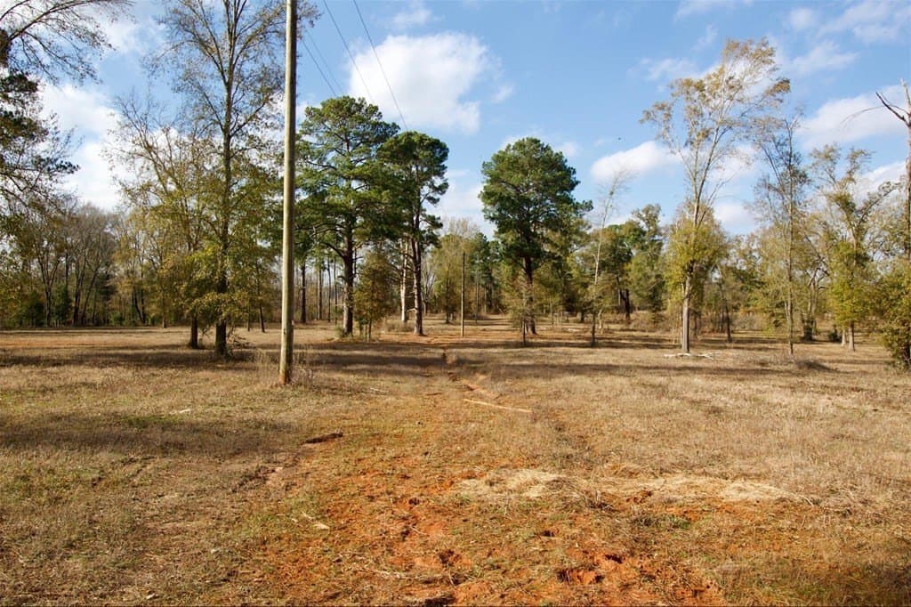 24.69 acres in HOUSTON County featured view