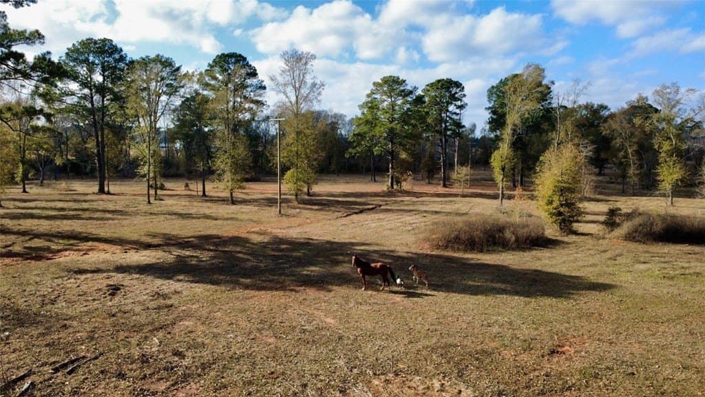 24.69 acres in HOUSTON County gallery image 2